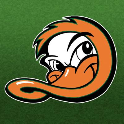 Long Island Ducks