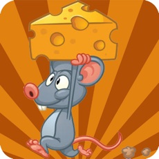 Activities of Tom the lazy mouse maze escape