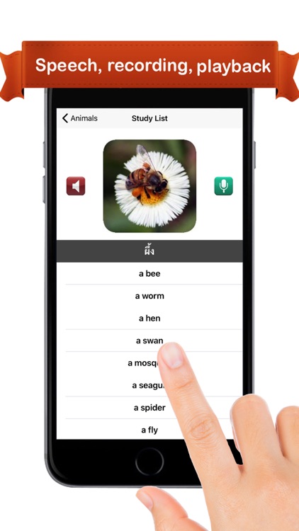 Learn Thai™