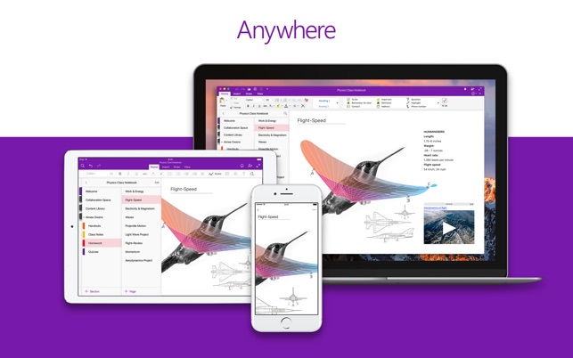 SCARICARE DA ONENOTE