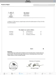 Grade Monitor ipad bilder 2