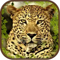 Extreme Wild Savanna Simulator app icon