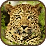 Get Extreme Wild Savanna Simulator for iOS, iPhone, iPad Aso Report