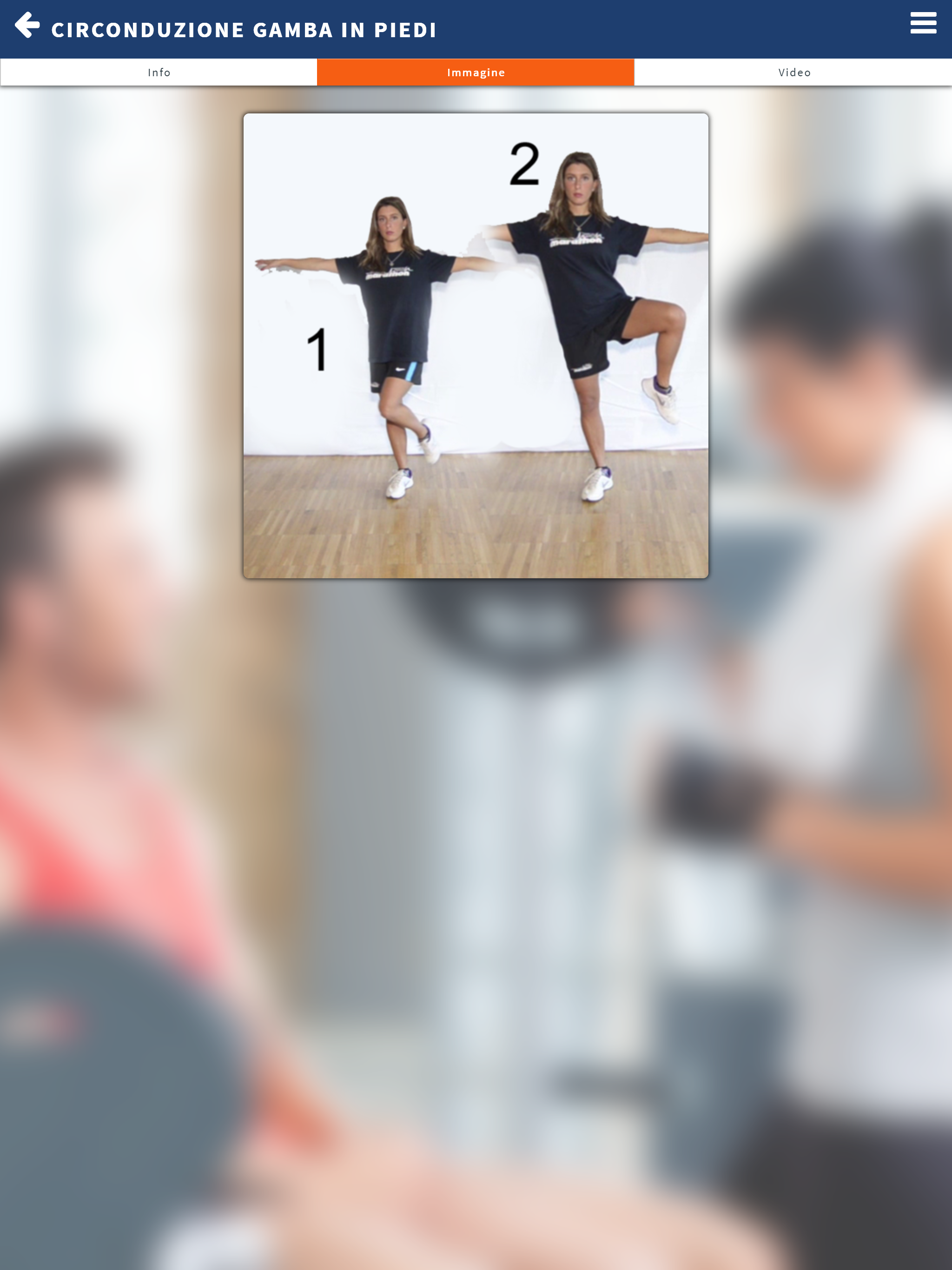 MioClub Training