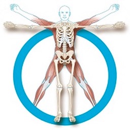 Thoracolumbar Burst Fracture