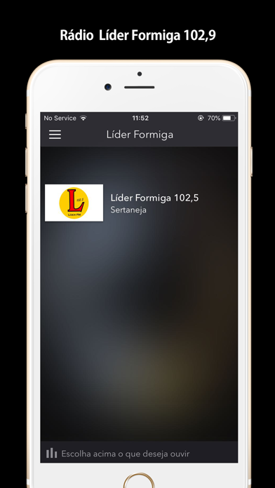 Rádio Líder Formiga 102,5 screenshot 2