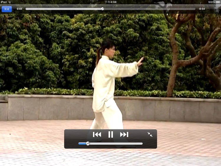 Chen’s Taichi Fundaments 22