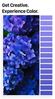 palette republic iphone resimleri 4
