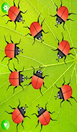Game screenshot Ladybug Dolch Sight Words mod apk