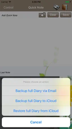 Quick Diary screenshot 2