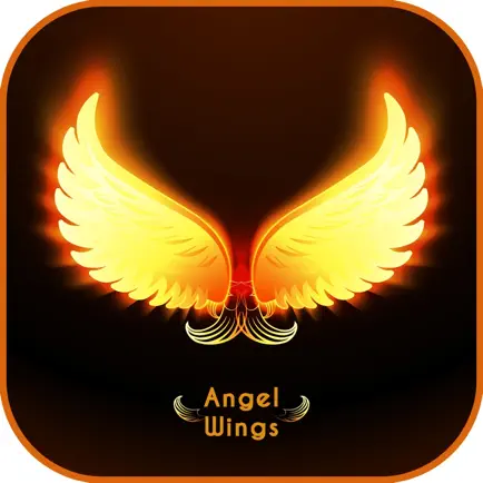 Angel Wings Editor Cheats