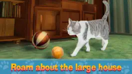 Game screenshot House Cat City Survival Sim apk