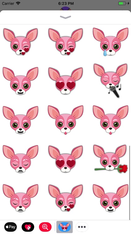 Animated Pink Chihuahua