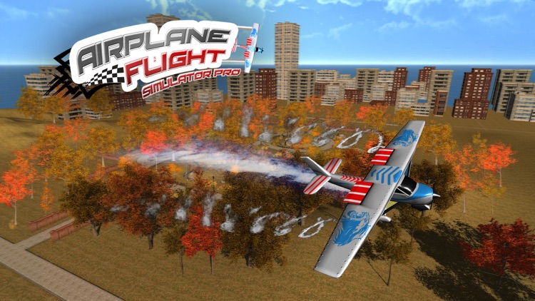 Airplane Flight Simulator Pro