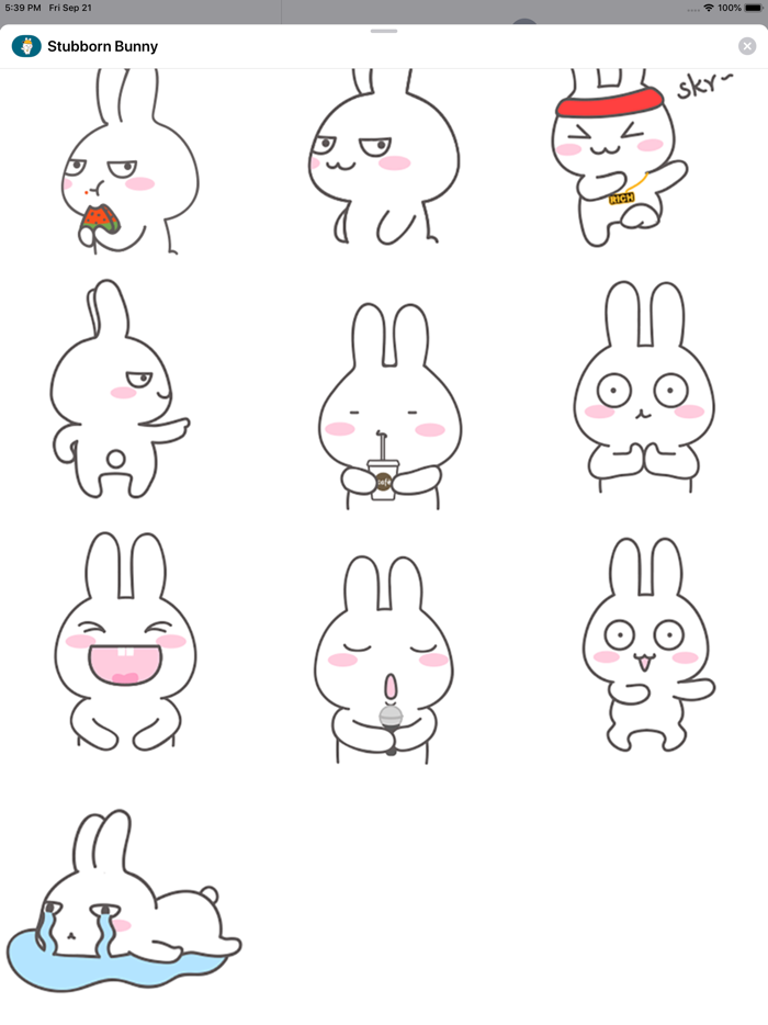 Stubborn Bunny Animated