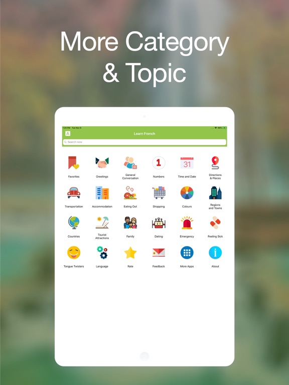 Screenshot #4 pour Learn French From Zero