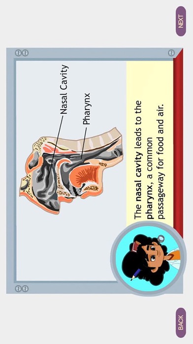 Screenshot #2 pour Respiratory System Grade 8
