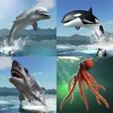 Sea Battle MMO Multiplayer - Icona app