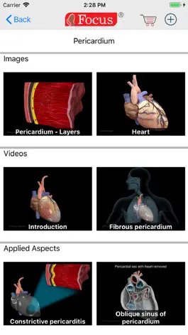 Game screenshot HEART -  Digital Anatomy hack