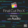 Audio Course For Final Cut Pro