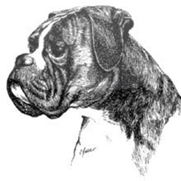 Boxer-Klub Stadtlohn e.V.