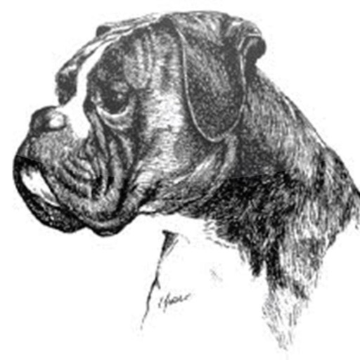 Boxer-Klub Stadtlohn e.V.