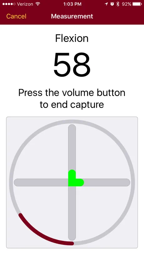 MnMotion Lite