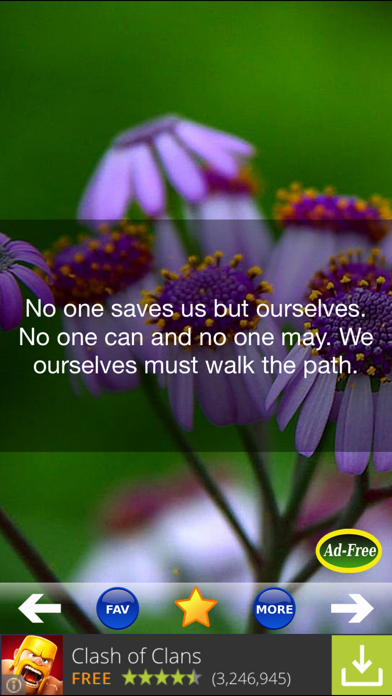 Screenshot #2 pour Buddha & Buddhism Quotes 500!