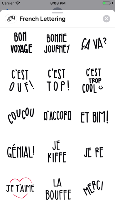 French Lettering screenshot 4