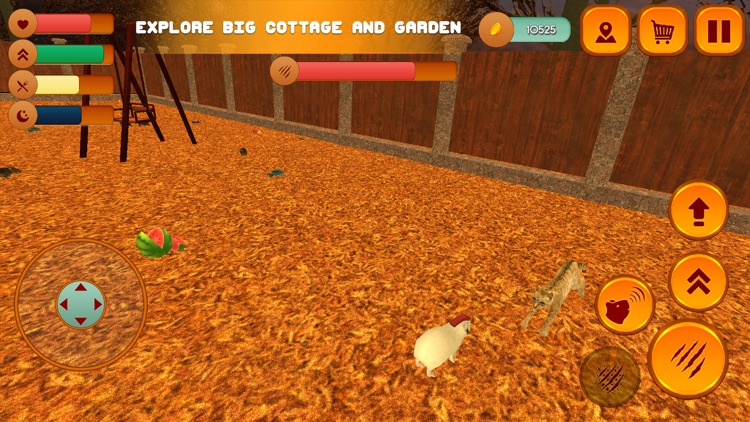 Home Guinea Pig Life Sim 3D