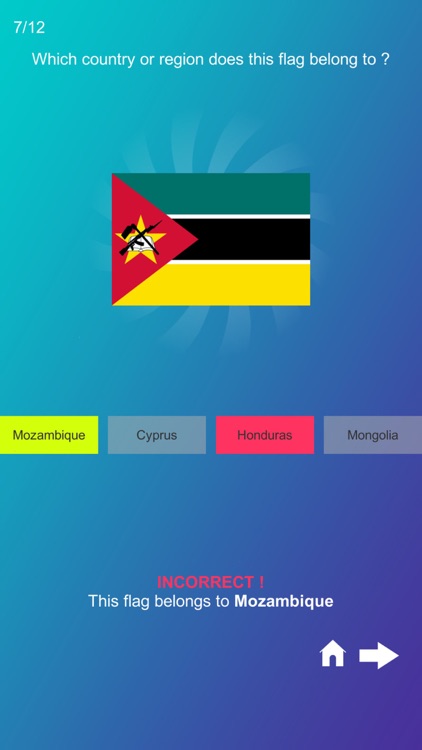 Guess The Flag 2022 screenshot-4