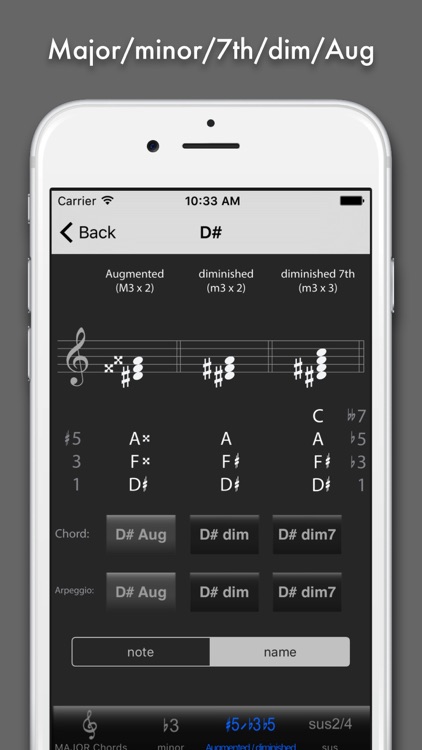 Chord & Triad screenshot-3