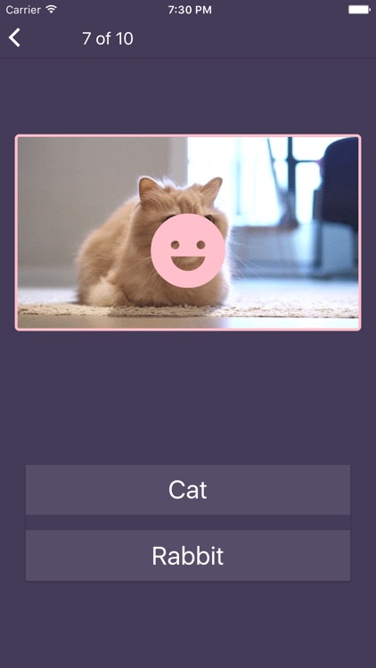 LonelyPix Animal Friends Lite screenshot-6