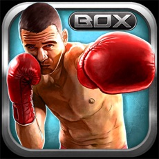 Activities of Boxing Club Championship Night Pro Fighting