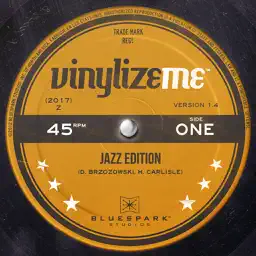 VinylizeMe app icon