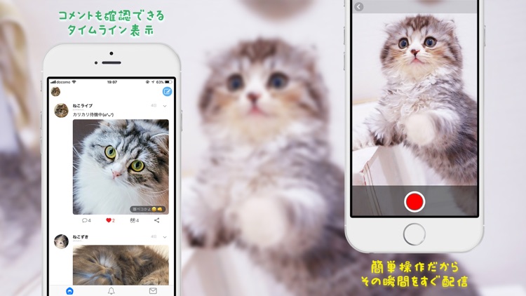 ねこライブ - 猫専用!写真,動画,ライブ配信アプリ