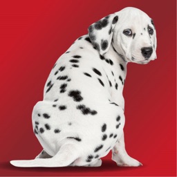 Genuss am Niederrhein