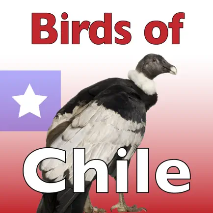 The Birds of Chile Читы