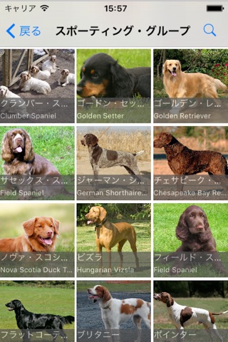 Dogs Bible screenshot 4