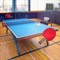 Table Tennis Touch iOS