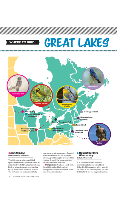 Ultimate Guide to Birdwatching screenshot 5