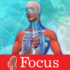 Animated Essential Atlas - Focus Medica