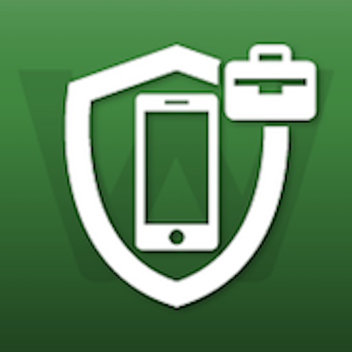 Business Security Icon