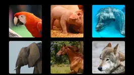 Game screenshot Let's Hear the Animals! HD apk