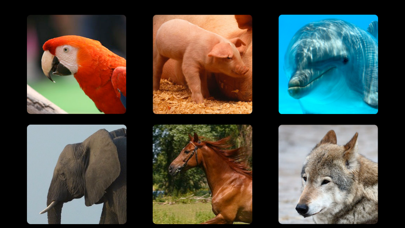 Let's Hear the Animals! HD Screenshot