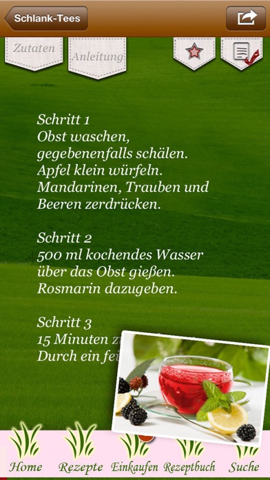 Abnehmen mit Schlank-Tees Diät screenshot