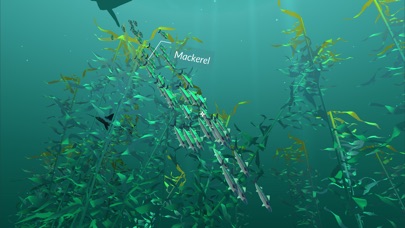 PI VR Oceans screenshot 3