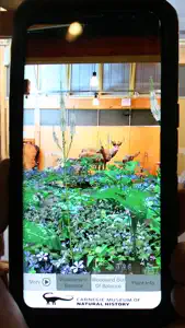 AR Perpetual Garden screenshot #1 for iPhone