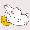 Funny Bunny Animated Stickers app icon - Stickers app for iPhone
