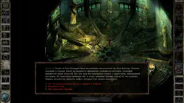 Game screenshot Icewind Dale apk